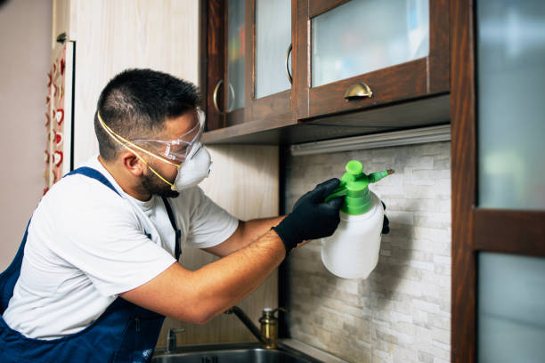 Best Pest Removal Services  in Cold Spring Harbor, NY