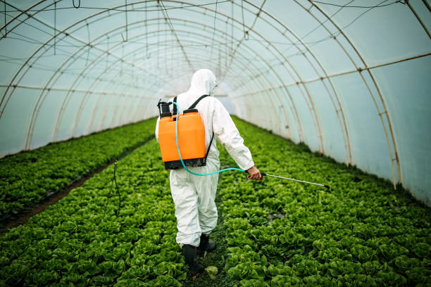 Trusted Cold Spring Harbor, NY Pest Control Experts